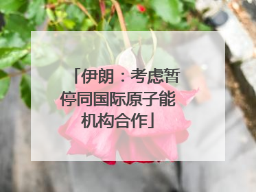 伊朗：考虑暂停同国际原子能机构合作