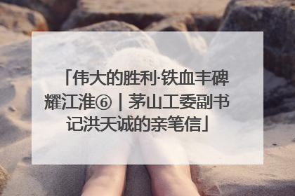 伟大的胜利·铁血丰碑耀江淮⑥｜茅山工委副书记洪天诚的亲笔信