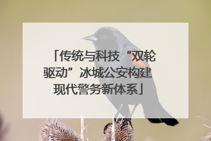 传统与科技“双轮驱动”冰城公安构建现代警务新体系