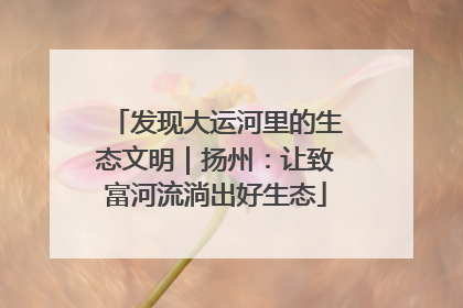 发现大运河里的生态文明｜扬州：让致富河流淌出好生态