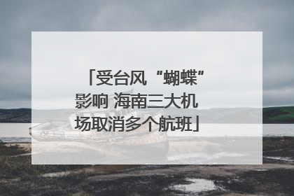 受台风“蝴蝶”影响 海南三大机场取消多个航班