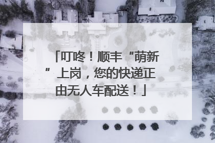 叮咚！顺丰“萌新”上岗，您的快递正由无人车配送！