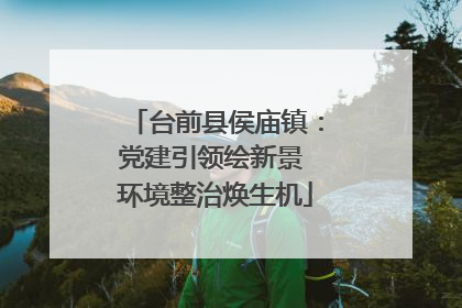 台前县侯庙镇：党建引领绘新景 环境整治焕生机