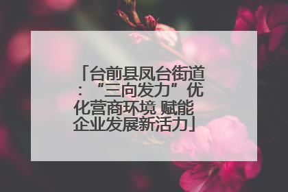 台前县凤台街道：“三向发力”优化营商环境 赋能企业发展新活力