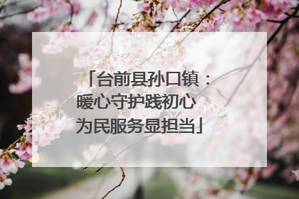 台前县孙口镇：暖心守护践初心 为民服务显担当