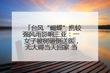 台风“蝴蝶”携较强风雨影响三亚：一女子被树砸倒送医，无大碍当天回家 当地已紧急清障