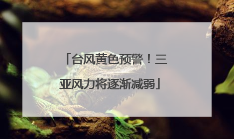 台风黄色预警！三亚风力将逐渐减弱