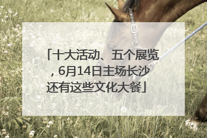 十大活动、五个展览，6月14日主场长沙还有这些文化大餐
