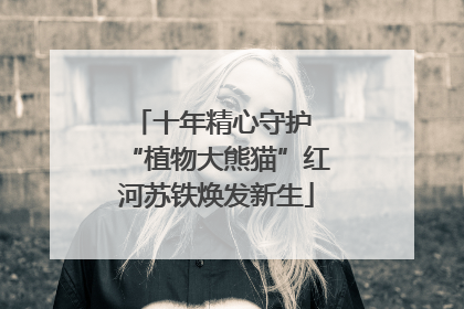 十年精心守护 “植物大熊猫”红河苏铁焕发新生