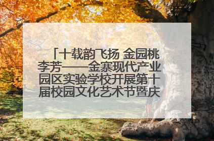 十载韵飞扬 金园桃李芳——金寨现代产业园区实验学校开展第十届校园文化艺术节暨庆“六一”系列活动