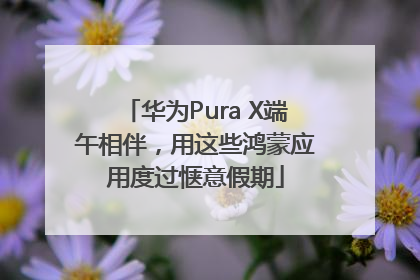 华为Pura X端午相伴，用这些鸿蒙应用度过惬意假期