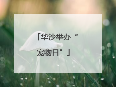 华沙举办“宠物日”