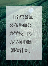 南京各区公布热点公办学校、民办学校电脑派位计划