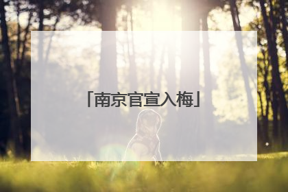 南京官宣入梅