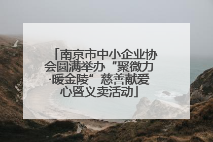 南京市中小企业协会圆满举办“聚微力·暖金陵”慈善献爱心暨义卖活动