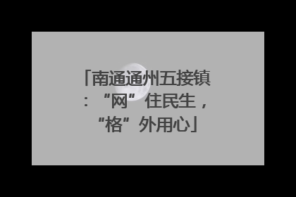 南通通州五接镇：“网”住民生，“格”外用心