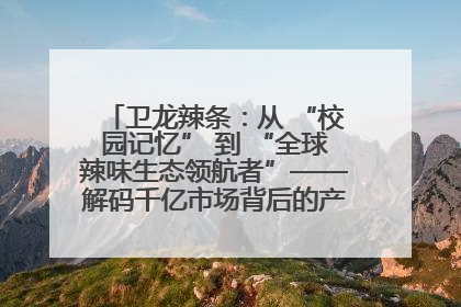卫龙辣条：从 “校园记忆” 到 “全球辣味生态领航者”——解码千亿市场背后的产品创新与全链路破圈