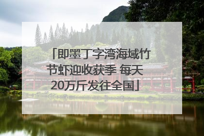即墨丁字湾海域竹节虾迎收获季 每天20万斤发往全国