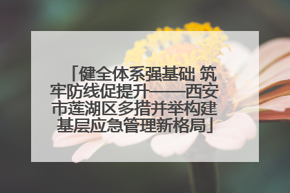 健全体系强基础 筑牢防线促提升——西安市莲湖区多措并举构建基层应急管理新格局