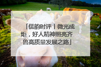 儒韵时评丨微光成炬，好人精神照亮齐鲁高质量发展之路