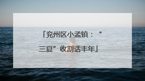 兖州区小孟镇：“三夏”收割话丰年