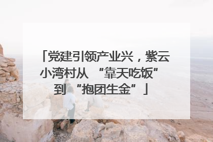 党建引领产业兴，紫云小湾村从 “靠天吃饭” 到 “抱团生金”