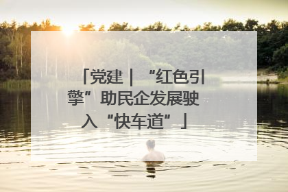 党建｜“红色引擎”助民企发展驶入“快车道”