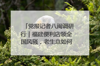 党报记者八闽调研行｜福建便利店领全国风骚，老生意如何玩出新玩法？