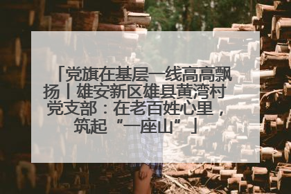 党旗在基层一线高高飘扬丨雄安新区雄县黄湾村党支部：在老百姓心里，筑起“一座山”