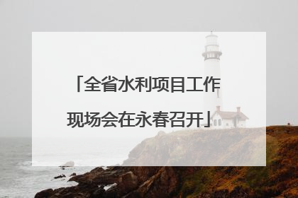 全省水利项目工作现场会在永春召开