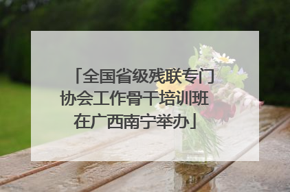 全国省级残联专门协会工作骨干培训班在广西南宁举办