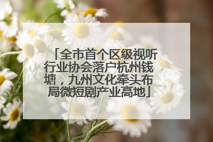 全市首个区级视听行业协会落户杭州钱塘，九州文化牵头布局微短剧产业高地