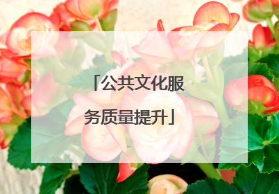 公共文化服务质量提升