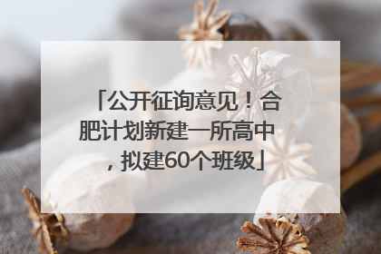 公开征询意见！合肥计划新建一所高中，拟建60个班级