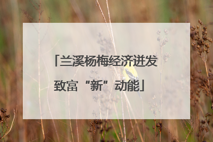兰溪杨梅经济迸发致富“新”动能