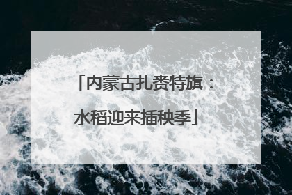 内蒙古扎赉特旗：水稻迎来插秧季
