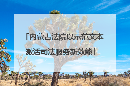 内蒙古法院以示范文本激活司法服务新效能