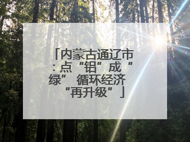 内蒙古通辽市：点“铝”成“绿” 循环经济“再升级”
