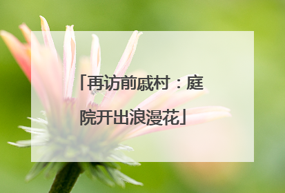 再访前戚村：庭院开出浪漫花