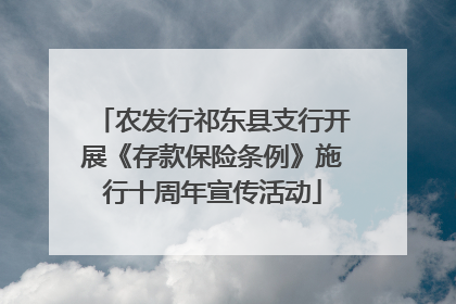 农发行祁东县支行开展《存款保险条例》施行十周年宣传活动