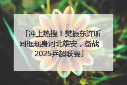 冲上热搜！樊振东许昕同框现身河北雄安，备战2025乒超联赛