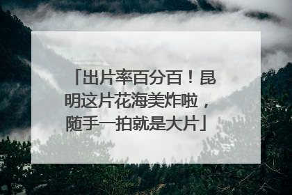 出片率百分百！昆明这片花海美炸啦，随手一拍就是大片