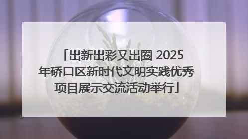 出新出彩又出圈 2025年硚口区新时代文明实践优秀项目展示交流活动举行