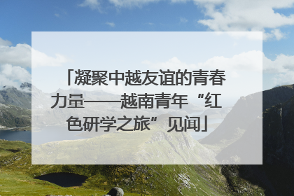 凝聚中越友谊的青春力量——越南青年“红色研学之旅”见闻
