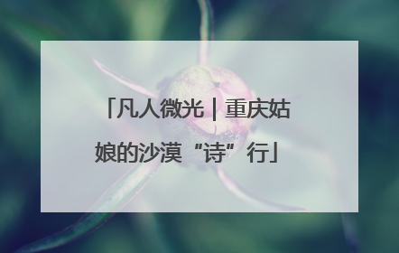 凡人微光｜重庆姑娘的沙漠“诗”行