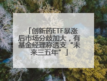 创新药ETF暴涨后市场分歧加大，有基金经理称透支“未来三五年”