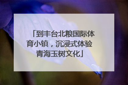 到丰台北粮国际体育小镇，沉浸式体验青海玉树文化