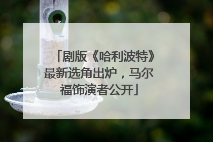 剧版《哈利波特》最新选角出炉，马尔福饰演者公开