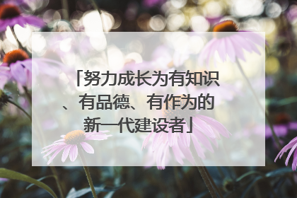努力成长为有知识、有品德、有作为的新一代建设者