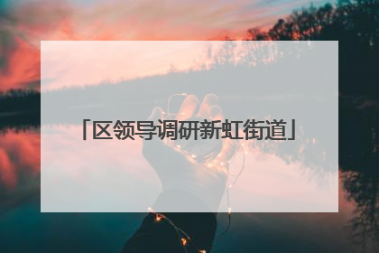 区领导调研新虹街道